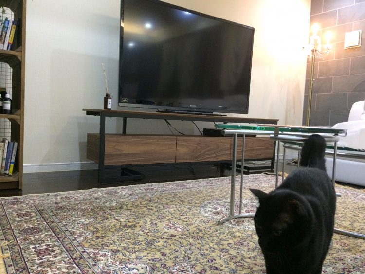 テレビボード ウォールナット スチール