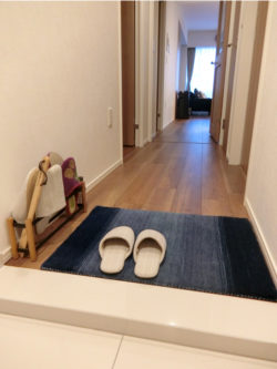 ハグみじゅうたん　玄関　マット